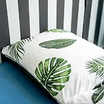 Vice Auberge de jeunesse *