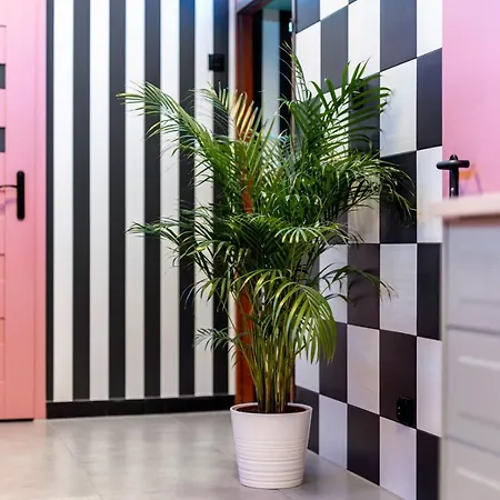 Vice * ヴロツワフ