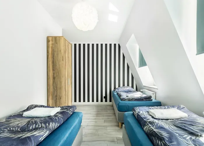 Auberge de jeunesse Vice