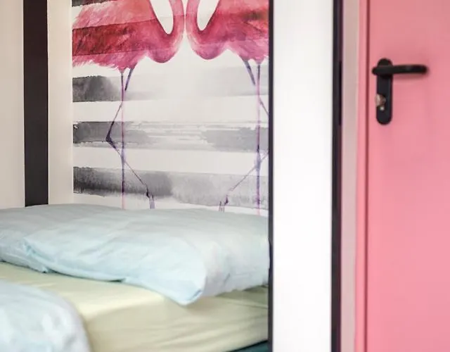 Auberge de jeunesse Vice *